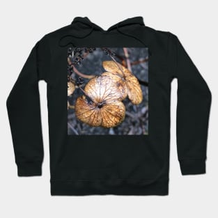 Fall Hydrangeas Aging with Grace Humility and Love Hoodie